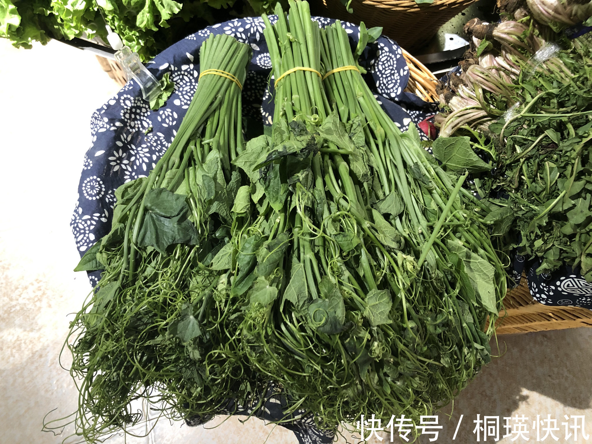蒲公英|春天一道，这8样受欢迎的“养生菜”别错过，贵点也要尝尝鲜！