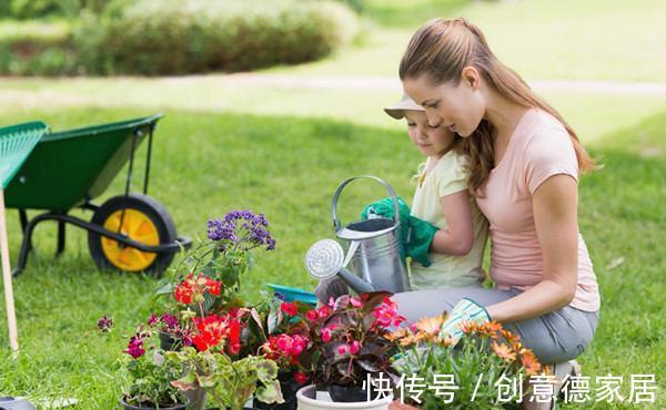 肥料|养花，花多多兑水浇灌、喷洒效果更好