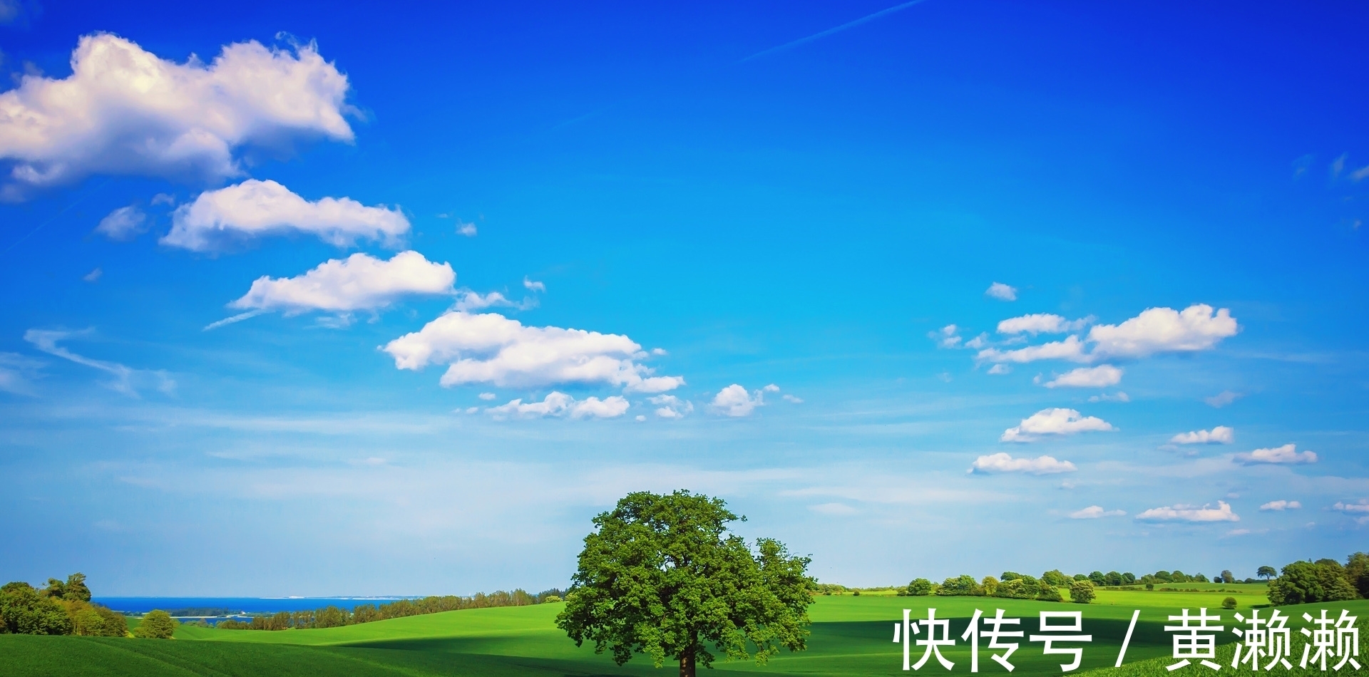 词人@李清照的1首词,让我们大开眼界,值得一读