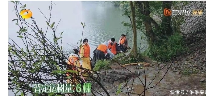 乔杉|向往的生活5：张艺兴执着1号地种树原因曝光，怪不得说自己不懂爱