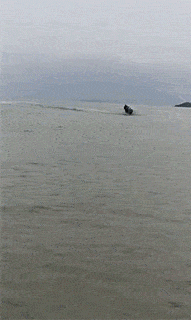 |开心一刻笑话:邻居大爷给大妈骂出门来,我在等电梯刚好撞见了