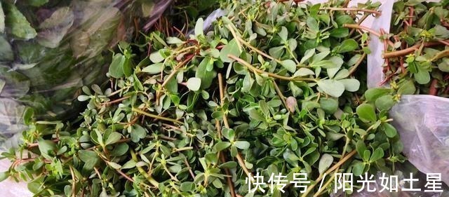 6种不怕过期蔬菜,家里囤点从夏吃到冬,如今多买点,秋冬有好菜!