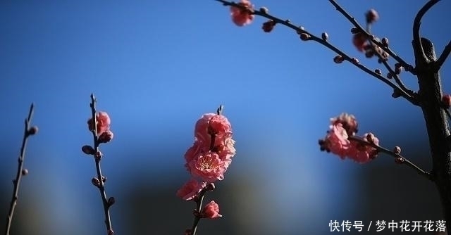 天涯!李商隐一首经典五绝《天涯》,无一字不唯美,无一字不伤悲