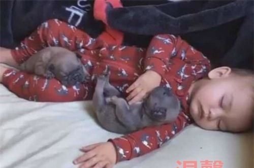 午睡|宝宝午睡竟没哭闹,宝妈放心不下偷偷观察,开门一看笑岔气