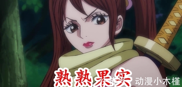 勘十郎|海贼王:官方再度公布三颗恶魔果实名称,雷藏果然也是能力者