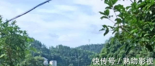 几年间|“小马云”范小勤：被公司“退货”不识百元钞，他远比你想象的惨