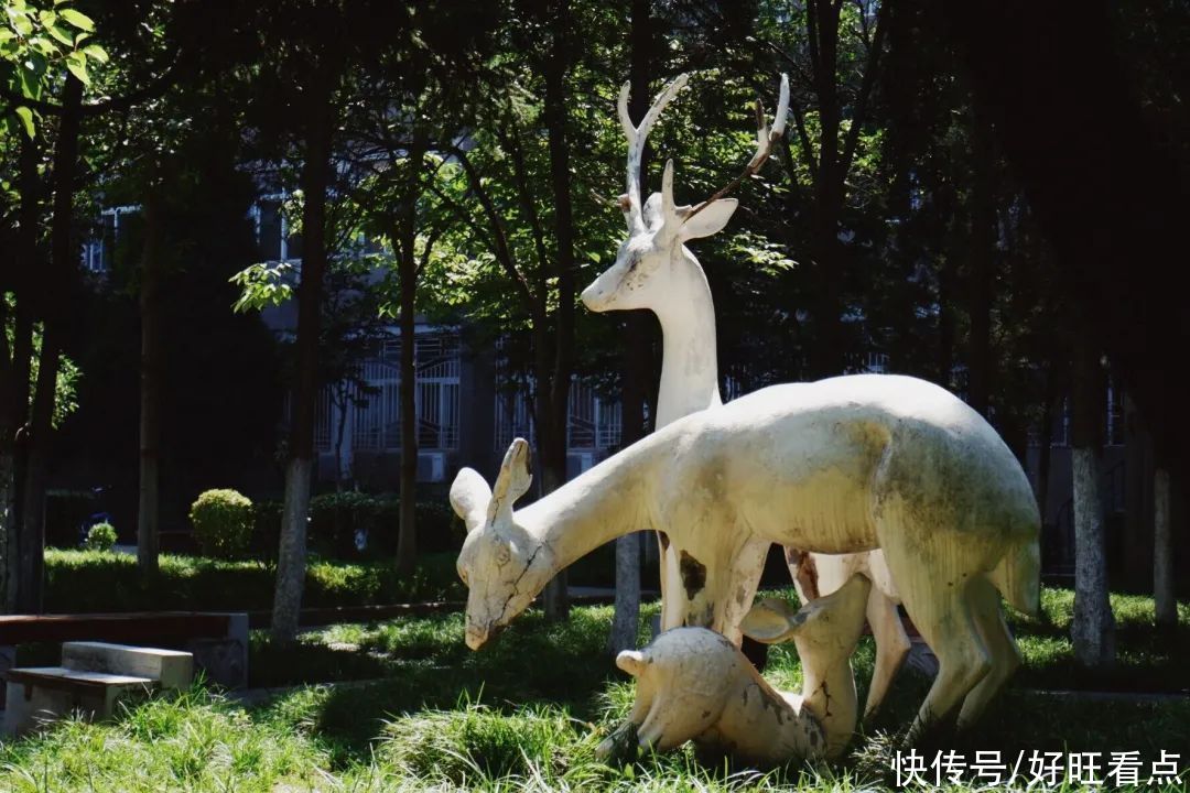 魅力陕西行·走进宝鸡文理学院，来一场说走就走的旅行吧！