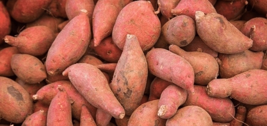 一样是红薯，“红心”和“白心”哪种好？知道以后别再瞎买了