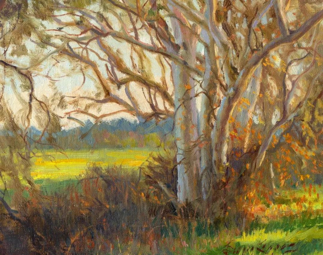 艺术学院!两次入选年度沙龙的决赛,他的画到底美在哪里?