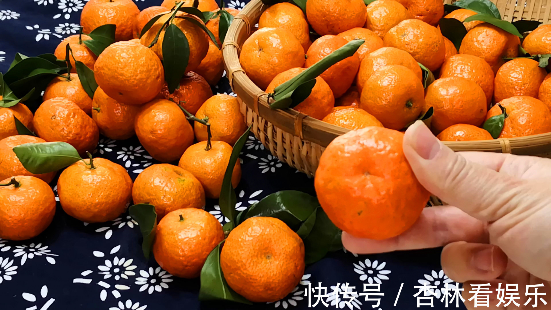 买砂糖橘,别管品种价格,见到此4种要留心,为了家人白给也不要