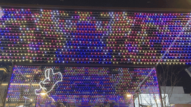 老年|咔嚓，来一张全家福！杭州新春高颜值拍照打卡地大搜罗