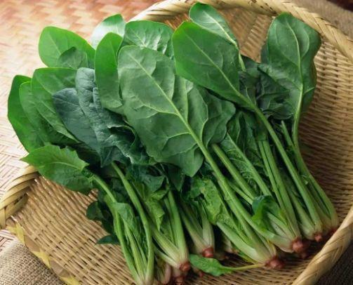 菠菜|豆腐和此物一起吃,相当于“慢性吃毒”,现在知道还不算晚