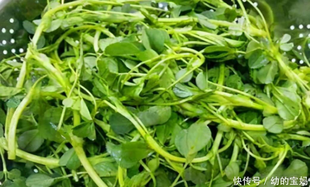 女性不想子宫“脏脏的”,多食3种食物,排出毒