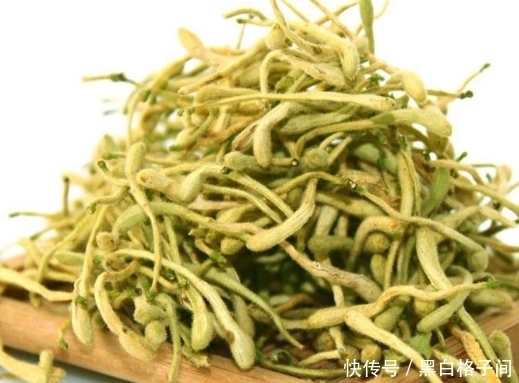 金银花和此物一起泡,补充气血,改善肤质,脸色看上去更好看