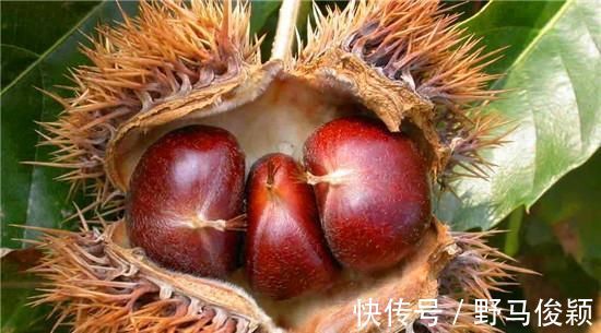 今天才知道，剥板栗还有实用的小技巧，一秒一个，太省力了