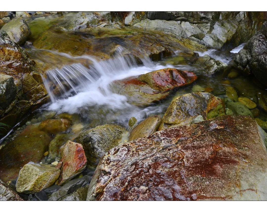 青龙峡|【我要去庆元避暑】戏水耍猴吃鱼 承包你的夏天！