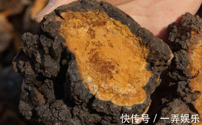 干贝|4物是糖尿病患者的“福音”，放开肚子吃，或稳定血糖不上升