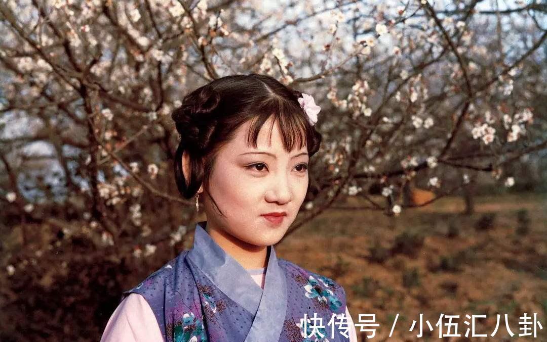 紫鹃!王熙凤抄检大观园,一句话就放过了林黛玉和紫鹃,为什么?