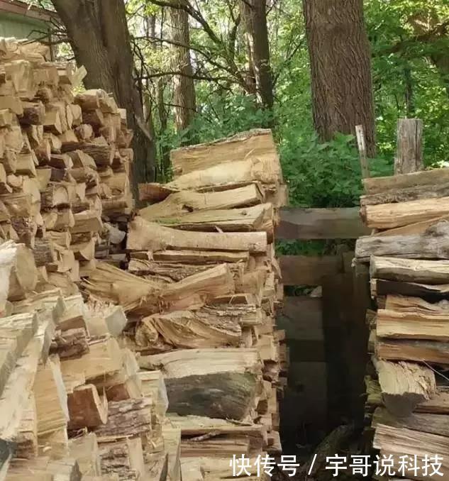 大脑|老年痴呆测试图:别花时间想,看看你能花几秒找出图中的人和物?