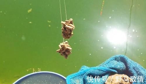 饵重|钓鱼技巧：麻团钓法操作要领和调漂技巧，钓鱼人的必修课！
