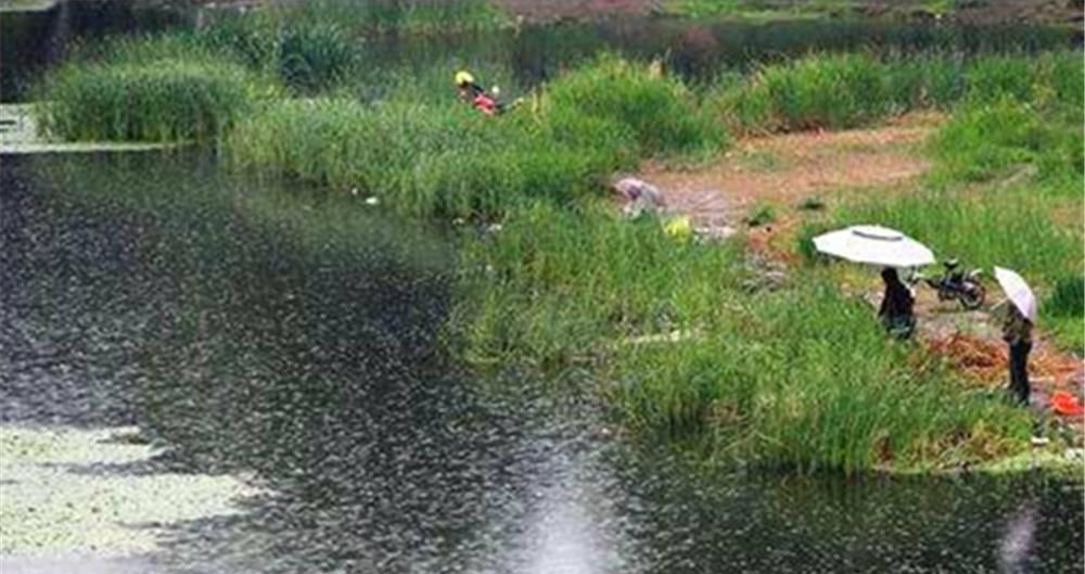 钓不到鱼？基本是天气没选对，这些天气鱼“胃口好”，很容易爆护