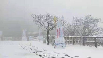 金佛山|重庆金佛山迎来12月首场大雪