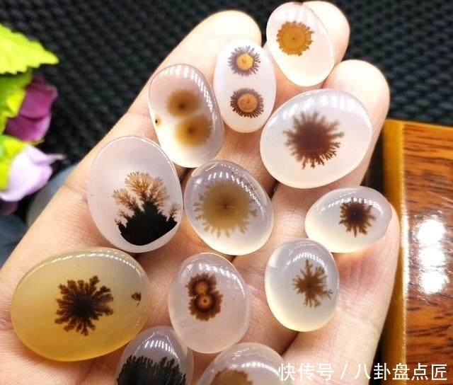 看到别人捡的石头才知道差距有多大了