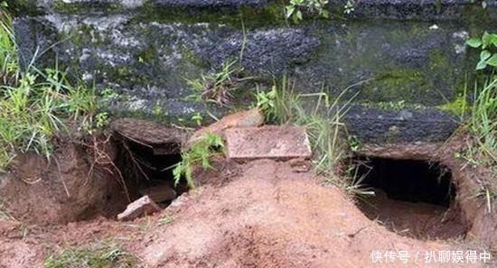 原来古代真正的盗墓贼都是这么盗墓的!