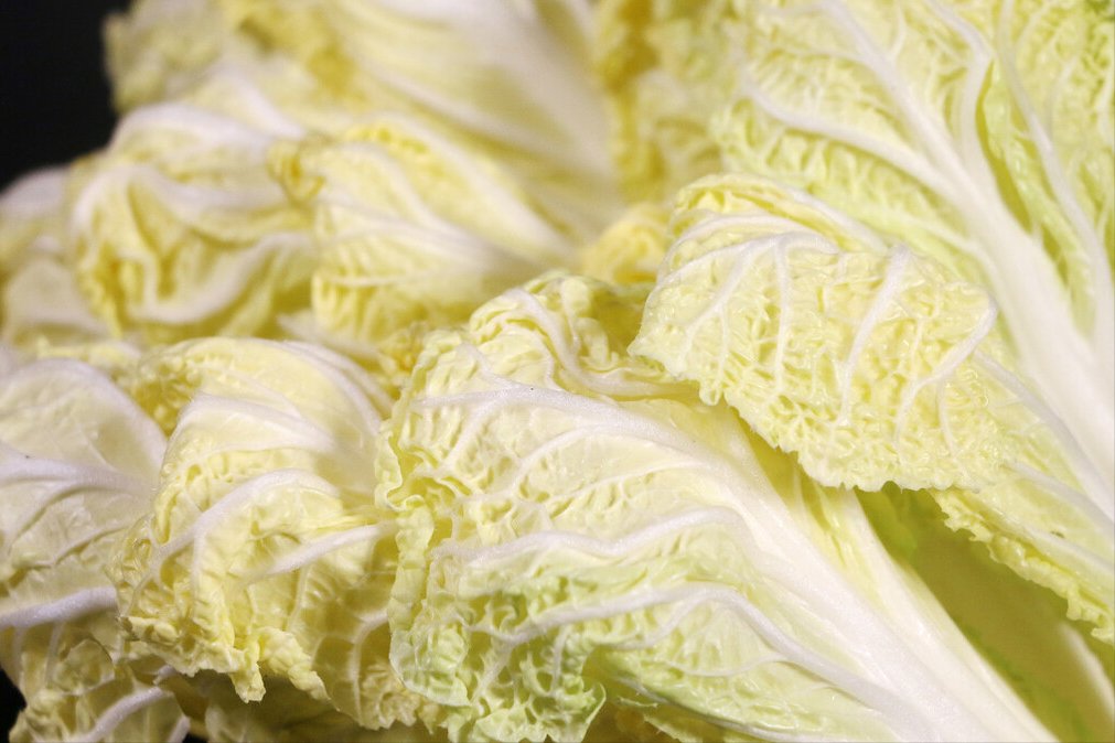 白菜炖豆腐，先放豆腐还是白菜？学会正确做法，比饭店的还鲜美