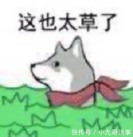 好家伙|“现在00后的语言密码有多难懂?”看完我直呼好家伙!