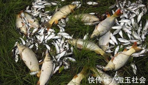 钓鱼技巧:科学打窝钓得更多,这几种打窝方法更留鱼,你学不学?