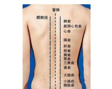 拔罐|持续按摩一年，效果神奇！