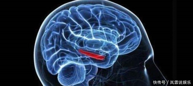 萃枫苷|老年痴呆最新测试5张图中你能看懂几张至少3张才算你合格!