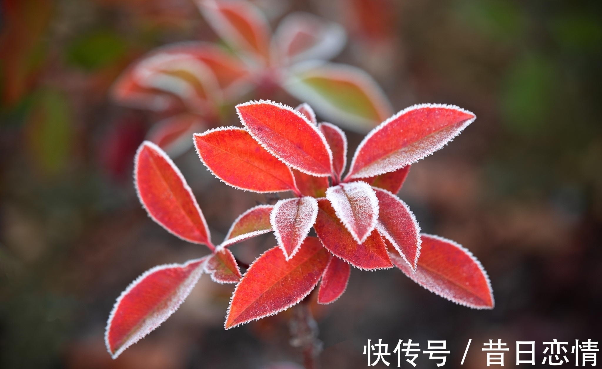 彩云追月&绕头诗35首：奇思妙句，感悟世间百态，若有同感，不妨也来一句