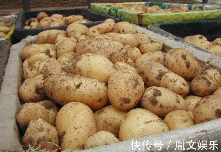 美味|土豆营养又美味，但炒的时候不能放此物，现在知道还不晚！