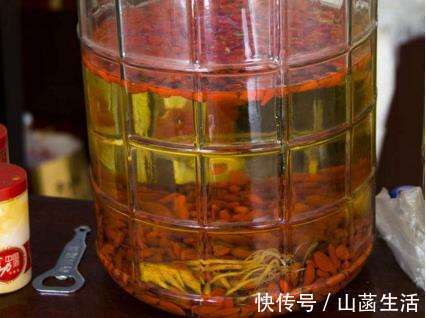 失眠|枸杞和“它”一起泡，营养比“人参”还高！肾不再虚，失眠都好啦