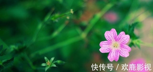 挽回|7月下旬，懂得容忍，把握机会，真心挽回，再次相爱，爱意流淌