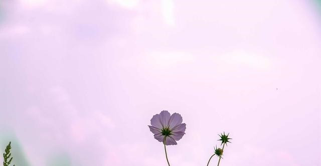 偏执|做人需圆融,忌偏执,急躁