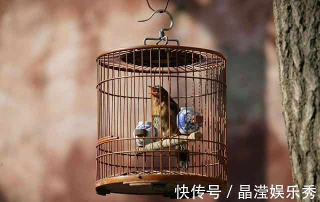 刘姥姥|黛玉说刘姥姥是“母蝗虫”,饱受诟病,刘姥姥回赠的话更伤人