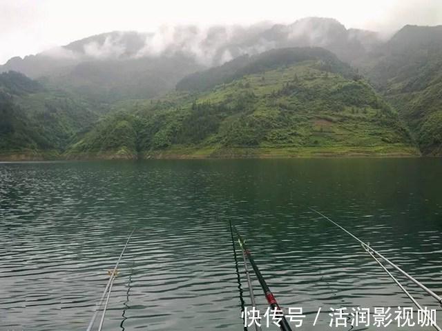 麝香液|钓鱼打窝料还靠买不妨自己在家做,取材方便效果绝佳!