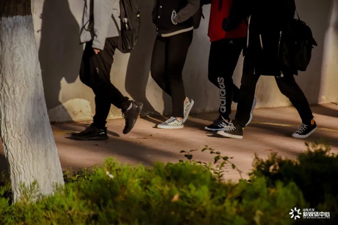 黄钰！山大节气 | 秋分——今日“丰收”