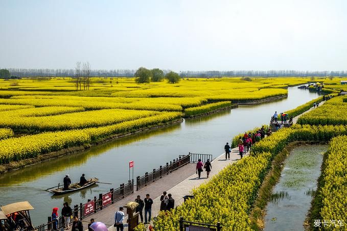 中年|春暖花开游江南-千垛景区水上森林之旅