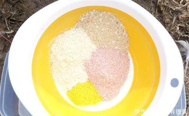 春天钓鲫鱼，好用的窝料和饵料配方，饵料对了口，渔获不用愁