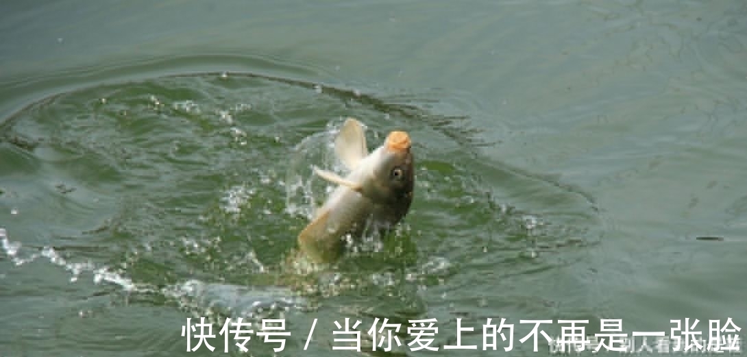 小技巧|刺鱼时,这一个小技巧很多钓友都不知道,切线跑鱼大多因为它