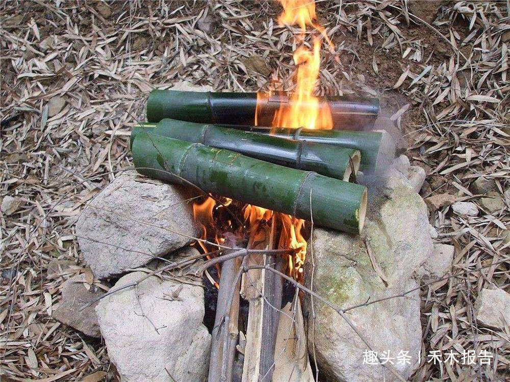 靠吃竹笋长大,儿时一抓十几只,火一烤就能吃,如今养殖2元一只