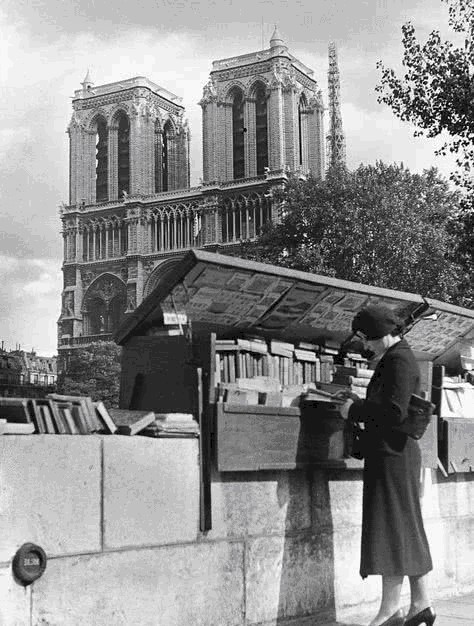 书箱|绿皮小书箱这次真的要消失了?!塞纳河将失去她的灵魂!