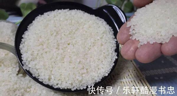 长虫|夏天大米生虫怎么办分享3个好办法，放一年都不生虫，很实用。