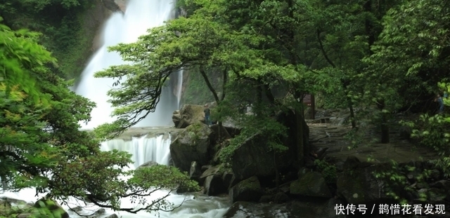 宝库|湖南夏日的“避暑秘境”，人少景美，被称“绿色宝库”