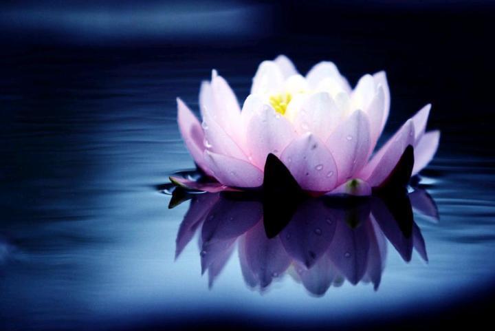 气功|气功之女子修炼初谈