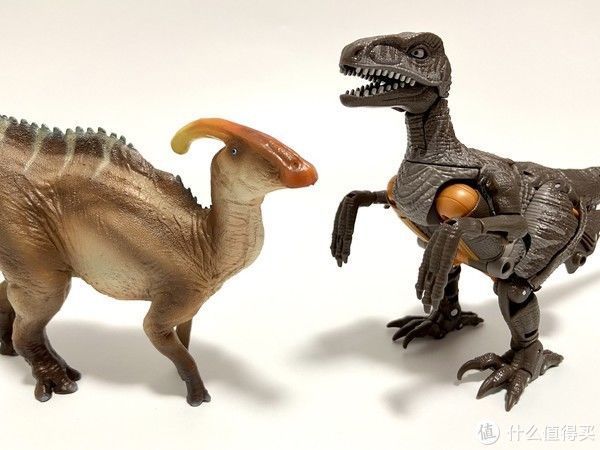 赵闯|恐龙模型 篇一:除了没有可动,其他基本完美——PNSO副栉龙把玩分享
